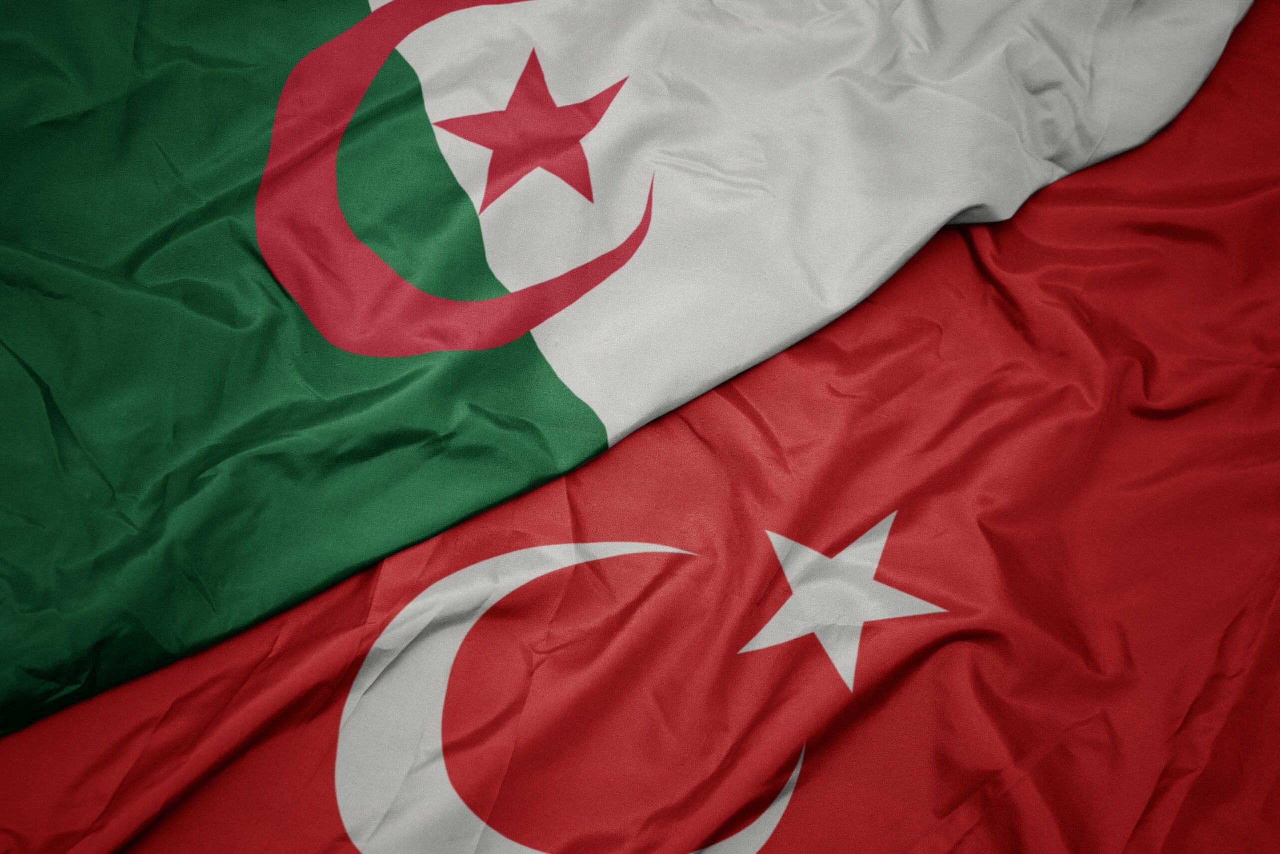 algerian turkey scaled